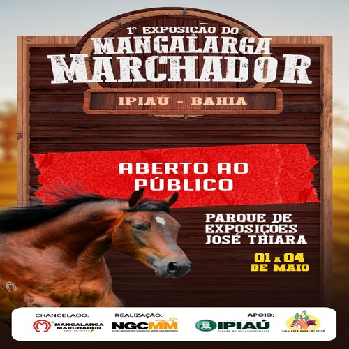 Descubra a Elegância do Mangalarga Marchador em Ipiaú!