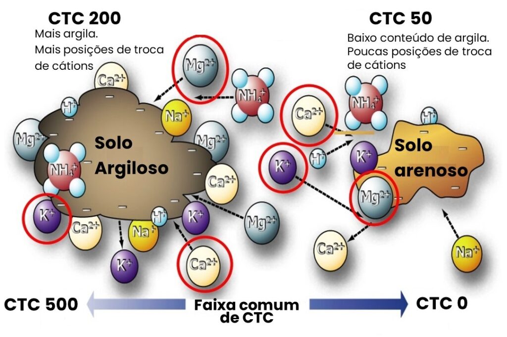 Você está visualizando atualmente CTC do solo: o que é, como determinar e como ela influencia o manejo da lavoura?