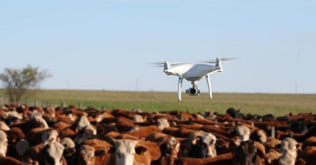 Descubra as novidades da defesa agropecuária em Goiás. 17 Goiás sedia a 8ª Conferência Nacional sobre Defesa Agropecuária • Portal DBO