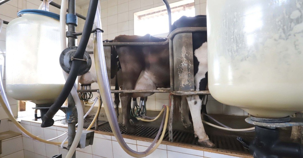 Descubra as propostas do Destaque Rural – PR!