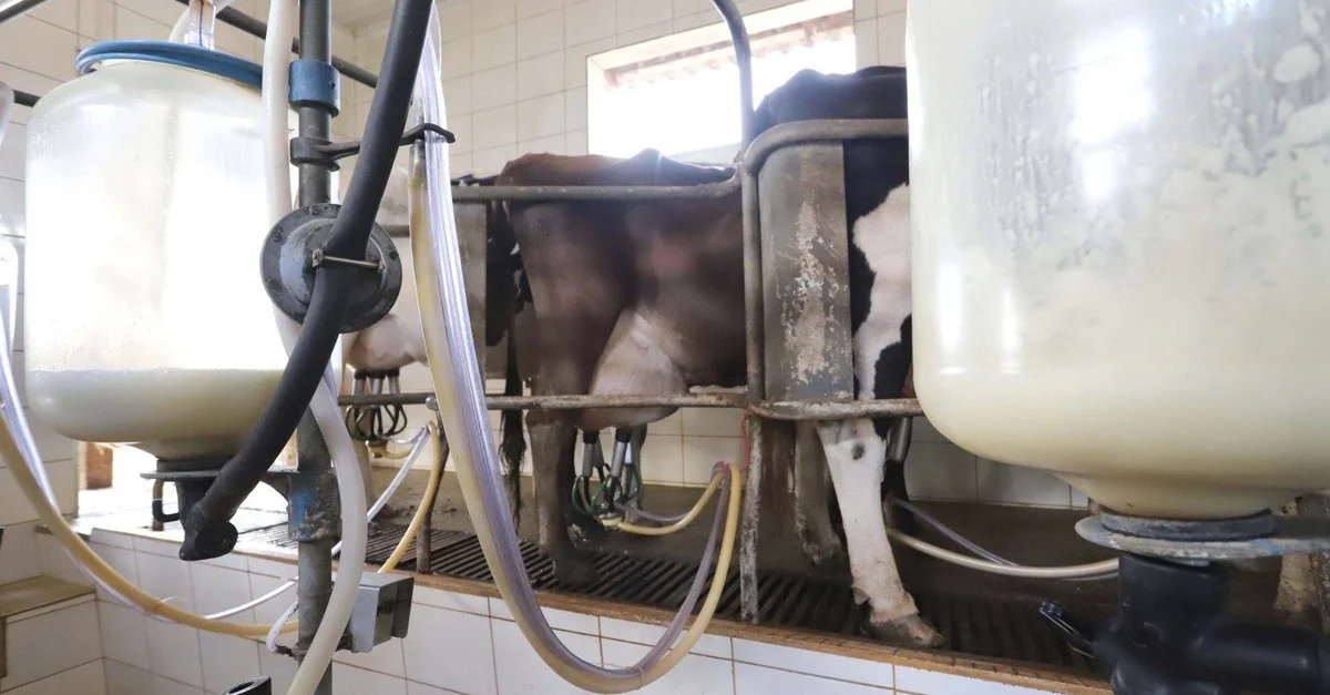 Descubra as propostas do Destaque Rural - PR! 1 Destaque Rural - PR propõe mudanças para conter importação de leite em pó