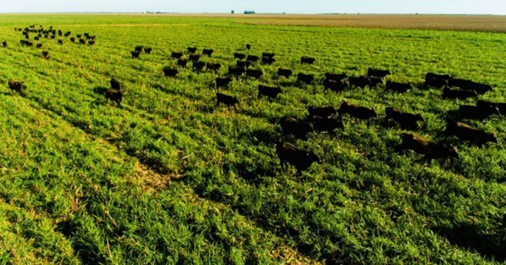 "Descubra as últimas descobertas sobre o tema no Portal DBO" • 39 caracteres 7 IZ destaca importante pesquisa sobre o tema • Portal DBO
