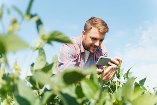 Você está visualizando atualmente Branding aplicado no agronegócio: o desafio de criar identidade de marca no setor e as oportunidades?
