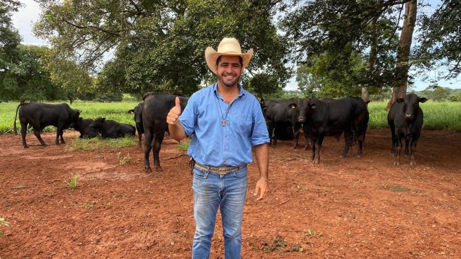 Descubra o incrível pasto e genética de boiada!