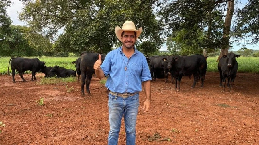 pasto, genética de ponta, giro do boi