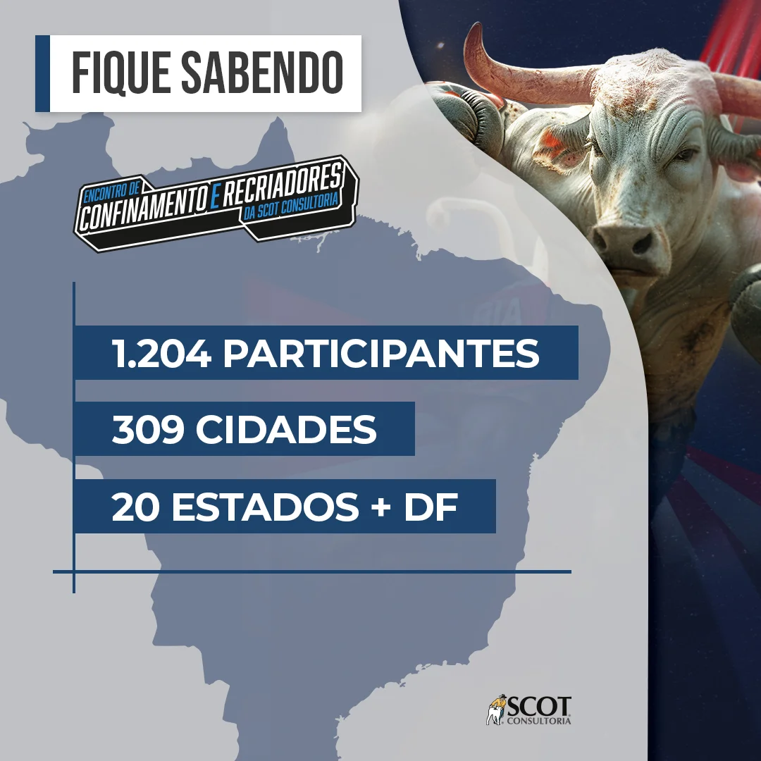 descubra o que vem por ai ecr 2024 1