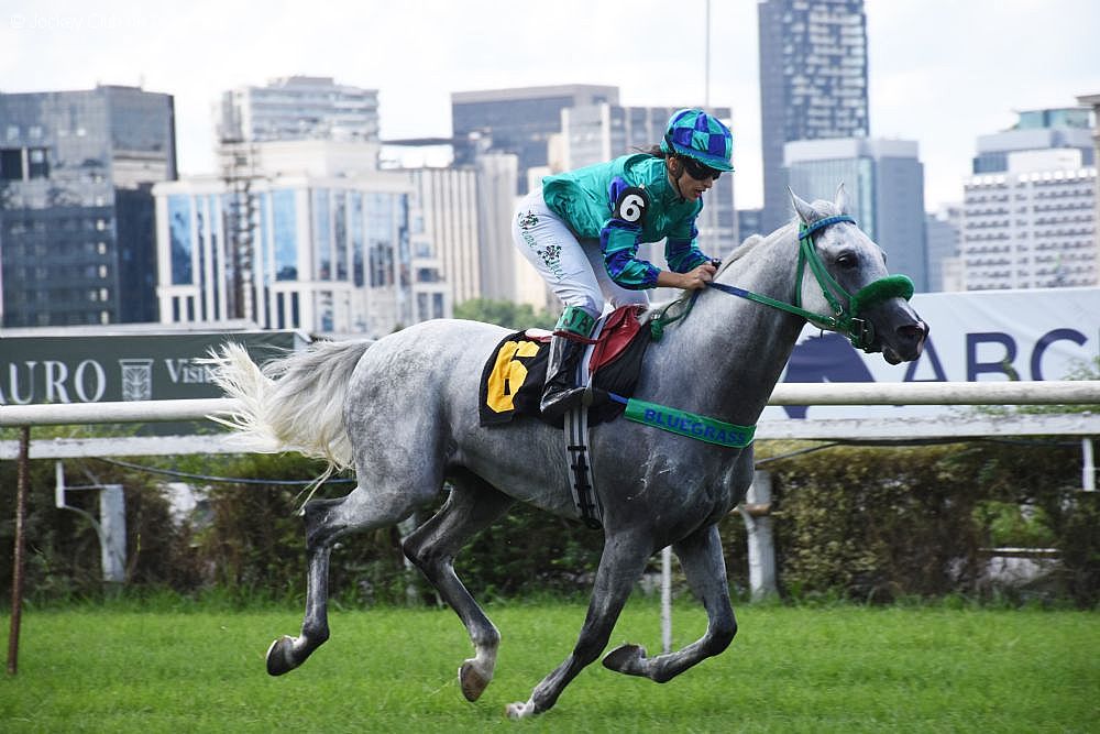 Descubra os campeões de Cashmeire AJR!