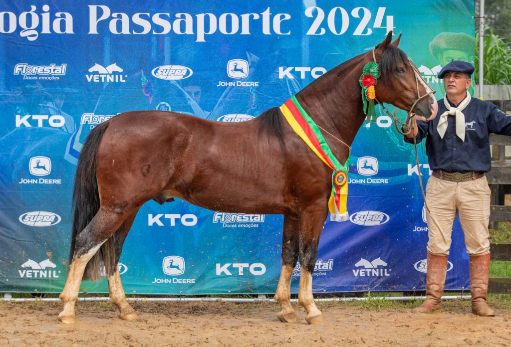 Descubra os novos campeões da Morfologia Expointer em São Ludgero