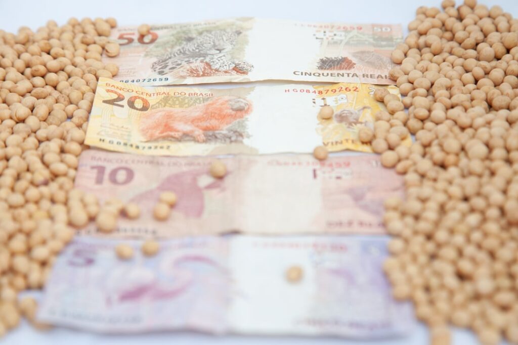 Confira os preços da soja no Brasil e em Chicago neste final de mês