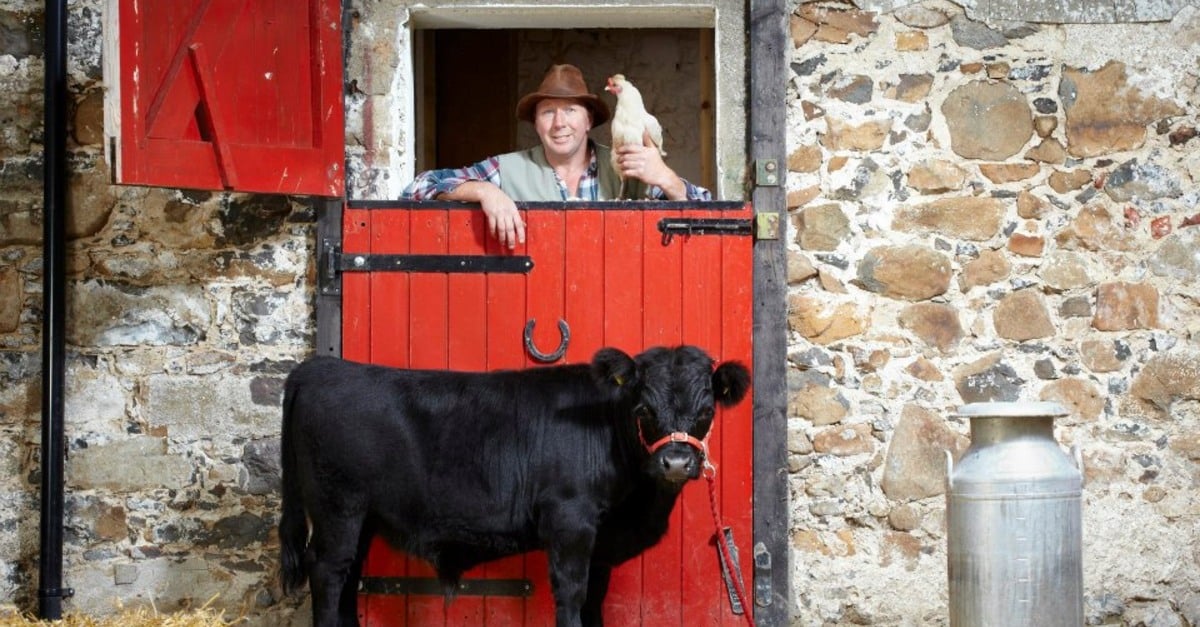 Dexter: o menor gado do mundo no Guinness