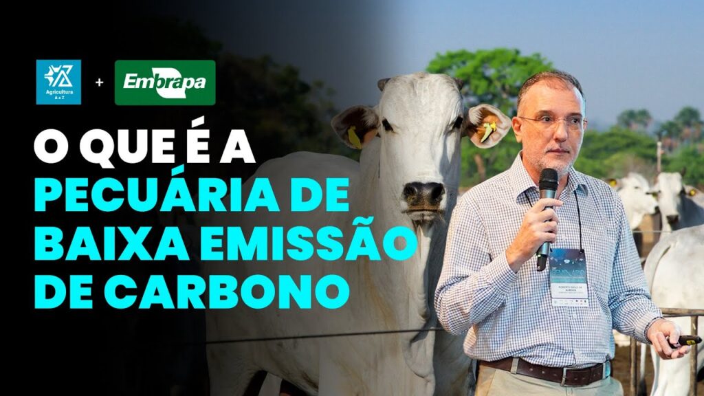 EMBRAPA: Ações Redução Carbono Pecuária. 2 embrapa acoes reducao carbono pecuaria