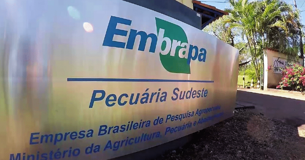 É absurdo Embrapa deixar de fazer pesquisa por falta de recursos • Portal DBO