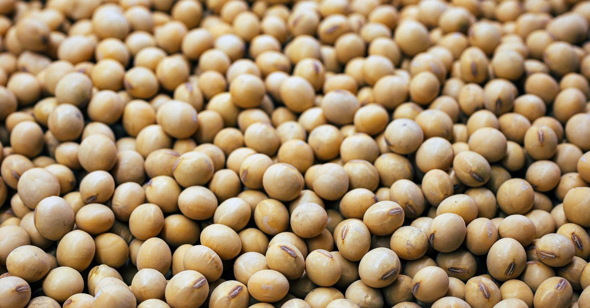 Soja: prêmios de exportação voltam a operar no positivo após 08 meses