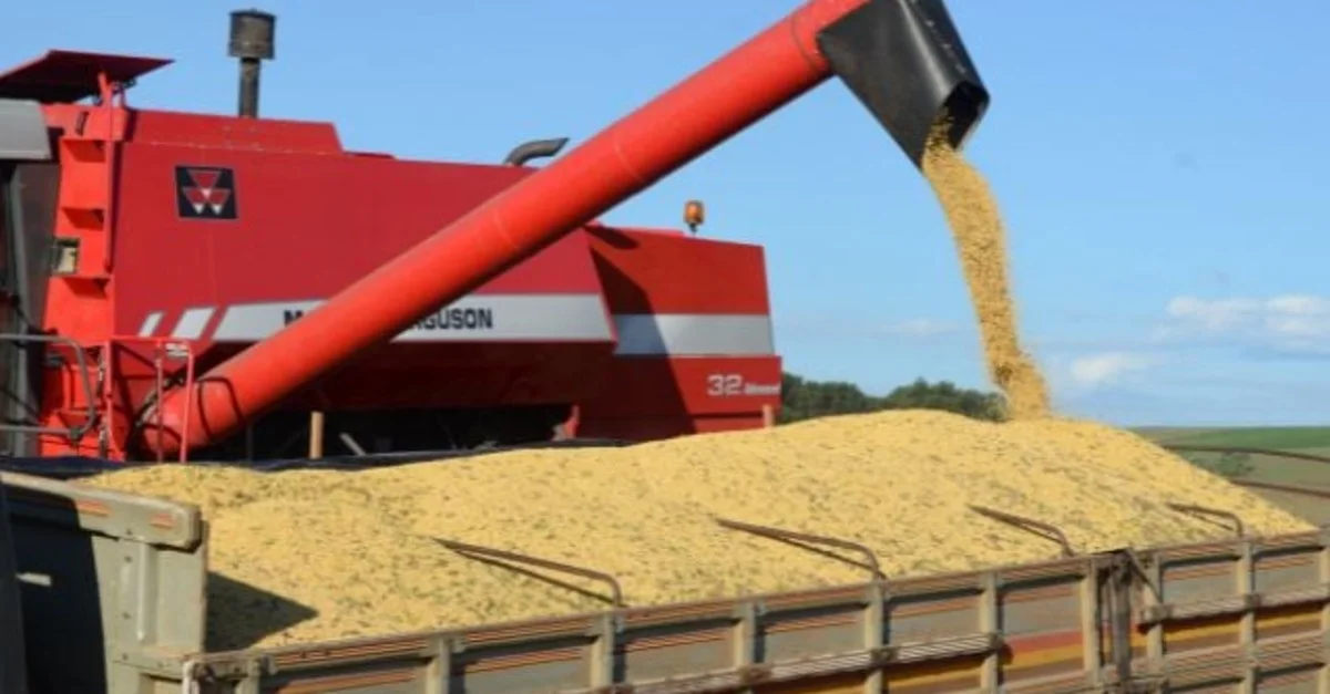 Colheita da primeira safra de grãos se encaminha para o fim em Santa Catarina