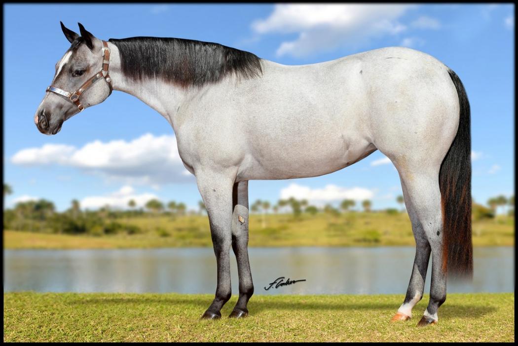 Leilão Genético de Trabalho: Ofertas Imperdíveis!