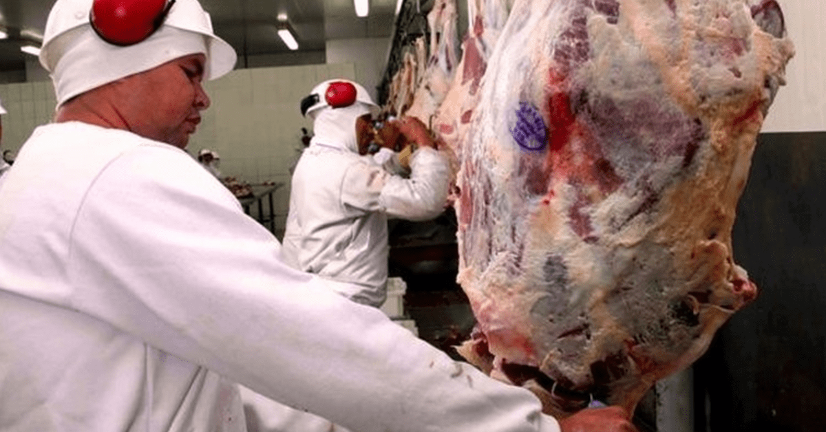 Mapa divulga normas para processamento de alimentos de origem animal segundo práticas religiosas •Portal DBO