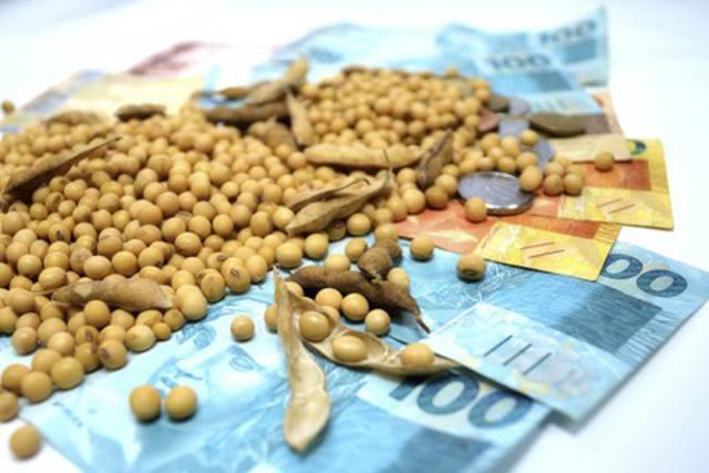 Mercado da soja: semana em alta no Brasil e em Chicago