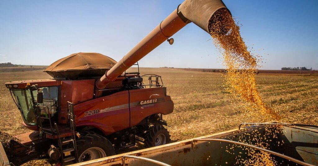 Diárias de Mercado de soja e milho - CEPEA