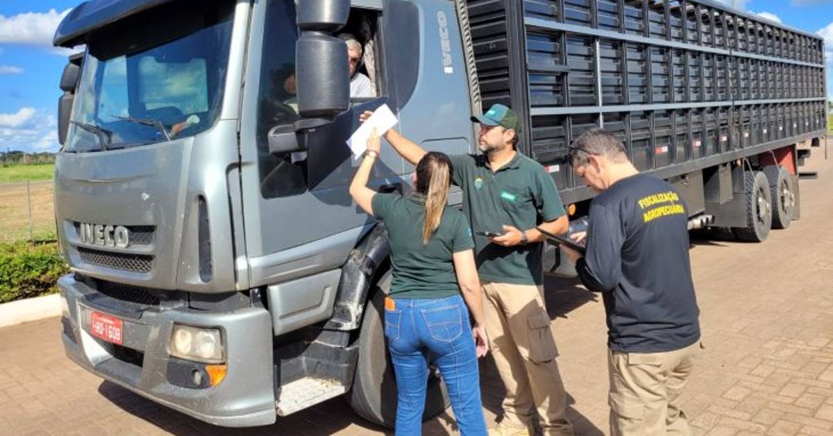 Novas regras para o transporte de cargas vivas: confira a portaria da Iagro