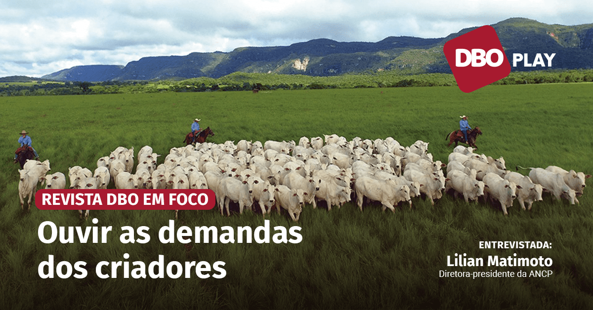 Novidades na ANCP: expansão e tecnologia!