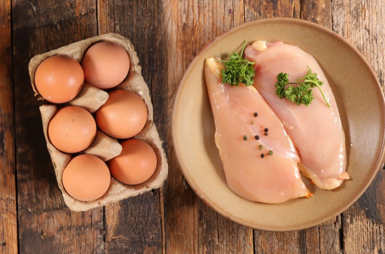 oportunidades em el salvador exportacao de ovos e carne de aves