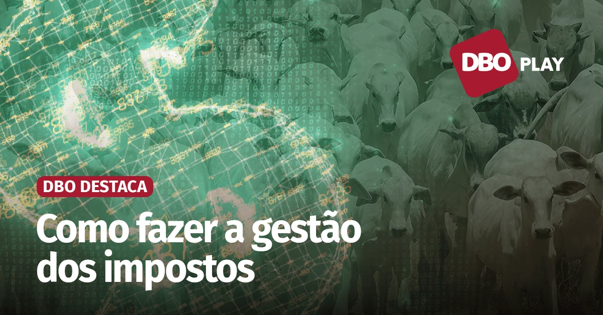 Os benefícios de um planejamento tributário na fazenda 18 Por que é importante ter um planejamento tributário eficaz na fazenda?