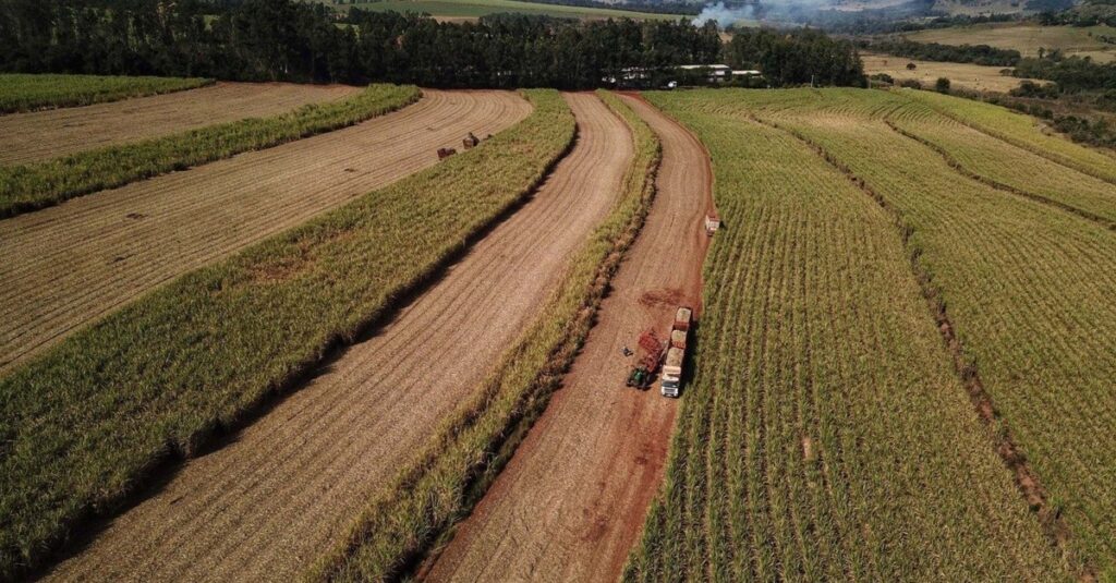 Paraná: recorde na produção de etanol! 6 Destaque Rural - Paraná deve produzir 1,25 bilhão de litros de etanol na atual safra