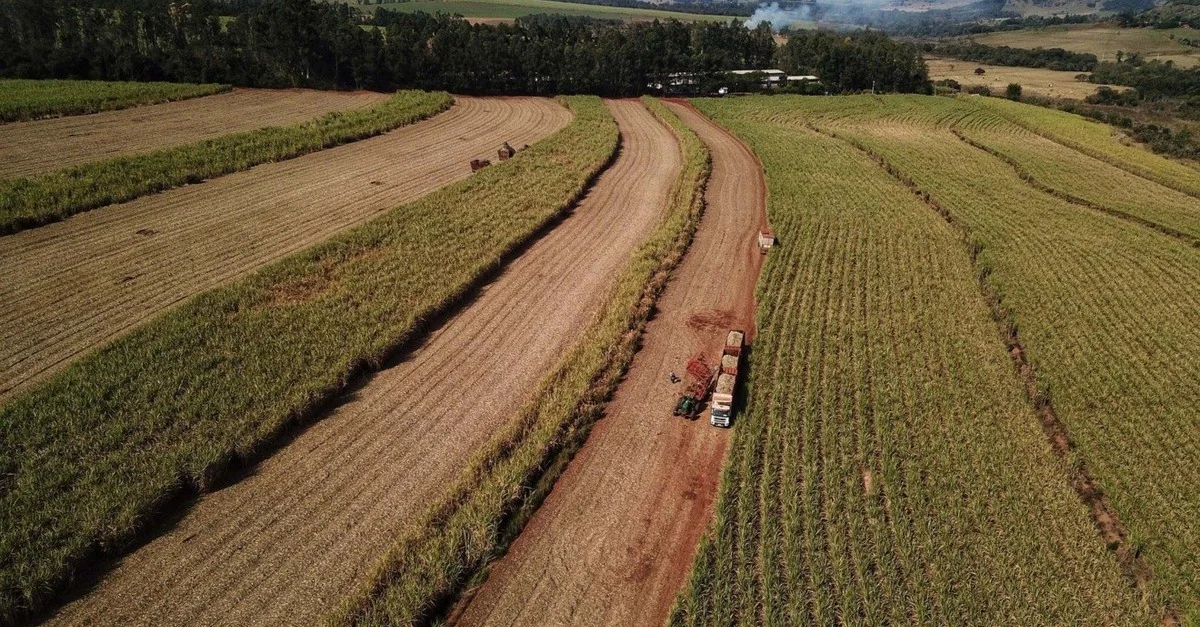 Destaque Rural - Paraná deve produzir 1,25 bilhão de litros de etanol na atual safra