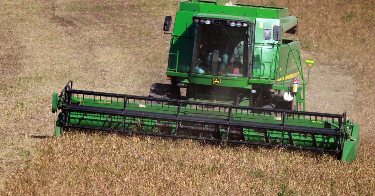Paraná se prepara para colher recorde de feijão