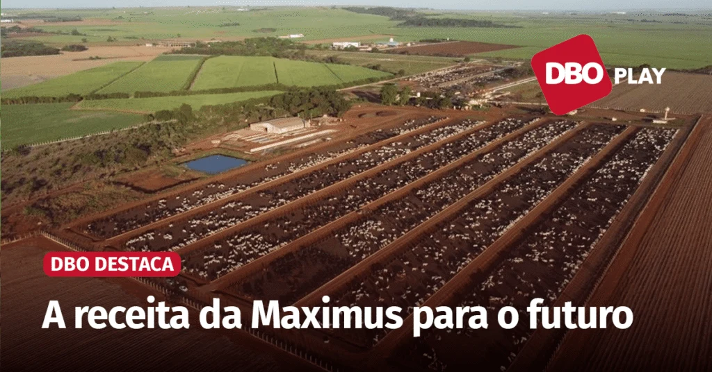 Plano de Confinamento para Longevidade: Detalhes Essenciais 2 Confinamento detalha plano para garantir a longevidade da sua operação