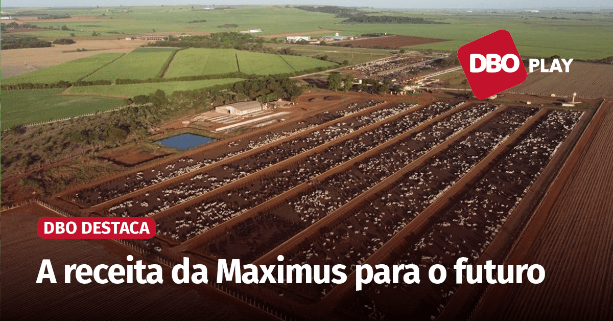 Plano de Confinamento para Longevidade: Detalhes Essenciais