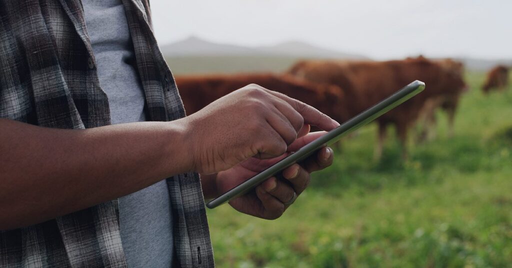 Em apenas três meses, preço ao produtor agropecuário cai fortes 15%, aponta Cepea • Portal DBO