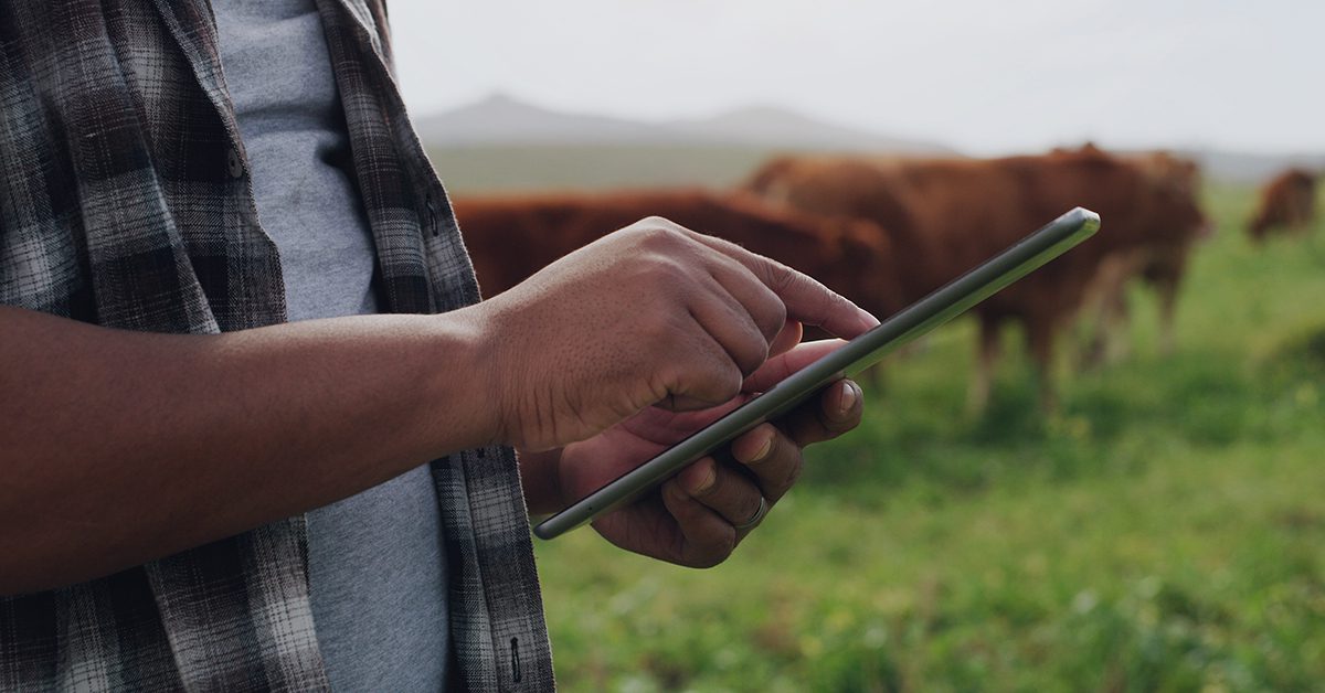 Preço ao produtor agropecuário despencou 15% em apenas 3 meses, diz Cepea