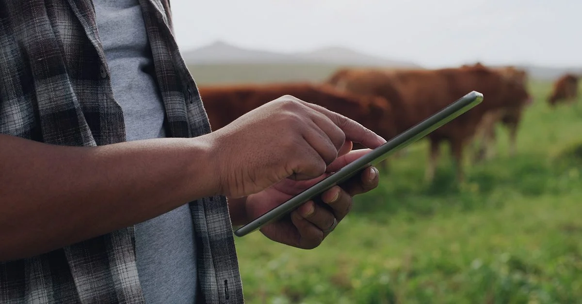 Preço ao produtor agropecuário despencou 15% em apenas 3 meses, diz Cepea 1 Em apenas três meses, preço ao produtor agropecuário cai fortes 15%, aponta Cepea • Portal DBO