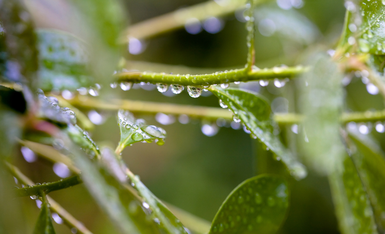previsao climatica no brasil em abril