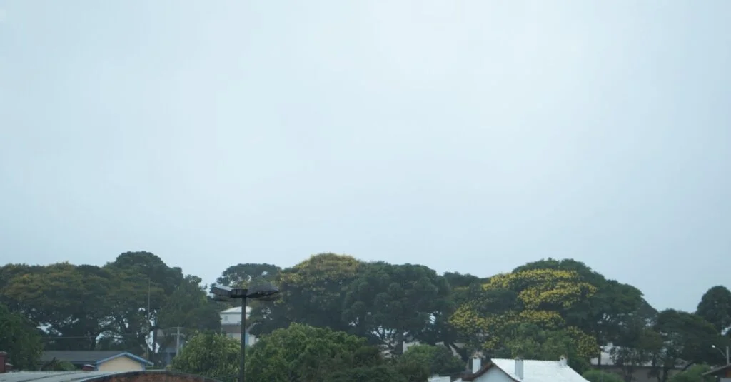 Previsão do tempo: Sul do Brasil terá chuvas e instabilidade 16 Tempo segue instável e com chuvas no Sul do Brasil