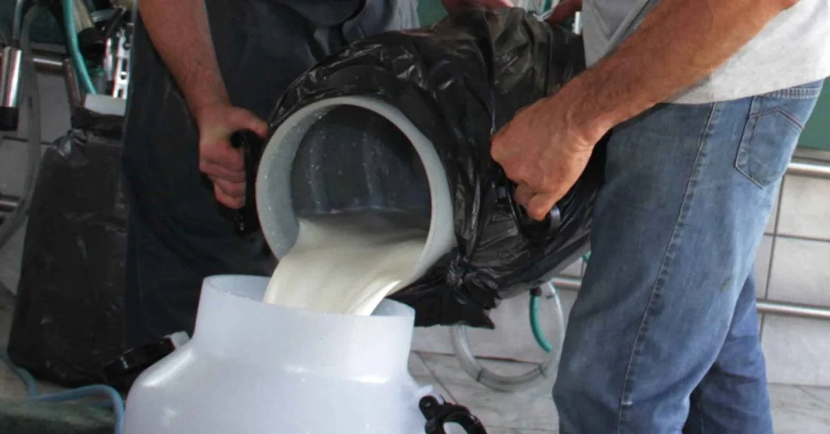 Produtores gaúchos de leite pedem intervenção do Estado para frear crise no setor • Portal DBO