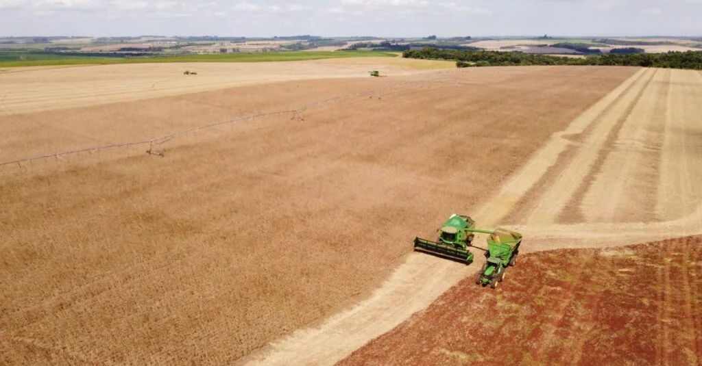 Safra de soja nas missões do RS: desafios e boas perspectivas 15 Safra de soja nas missões do RS enfrenta desafios, mas mantém boas perspectivas