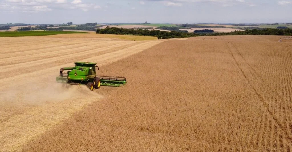 Desenvolvimento da safra de soja no Rio Grande do Sul segue com perspectivas positivas