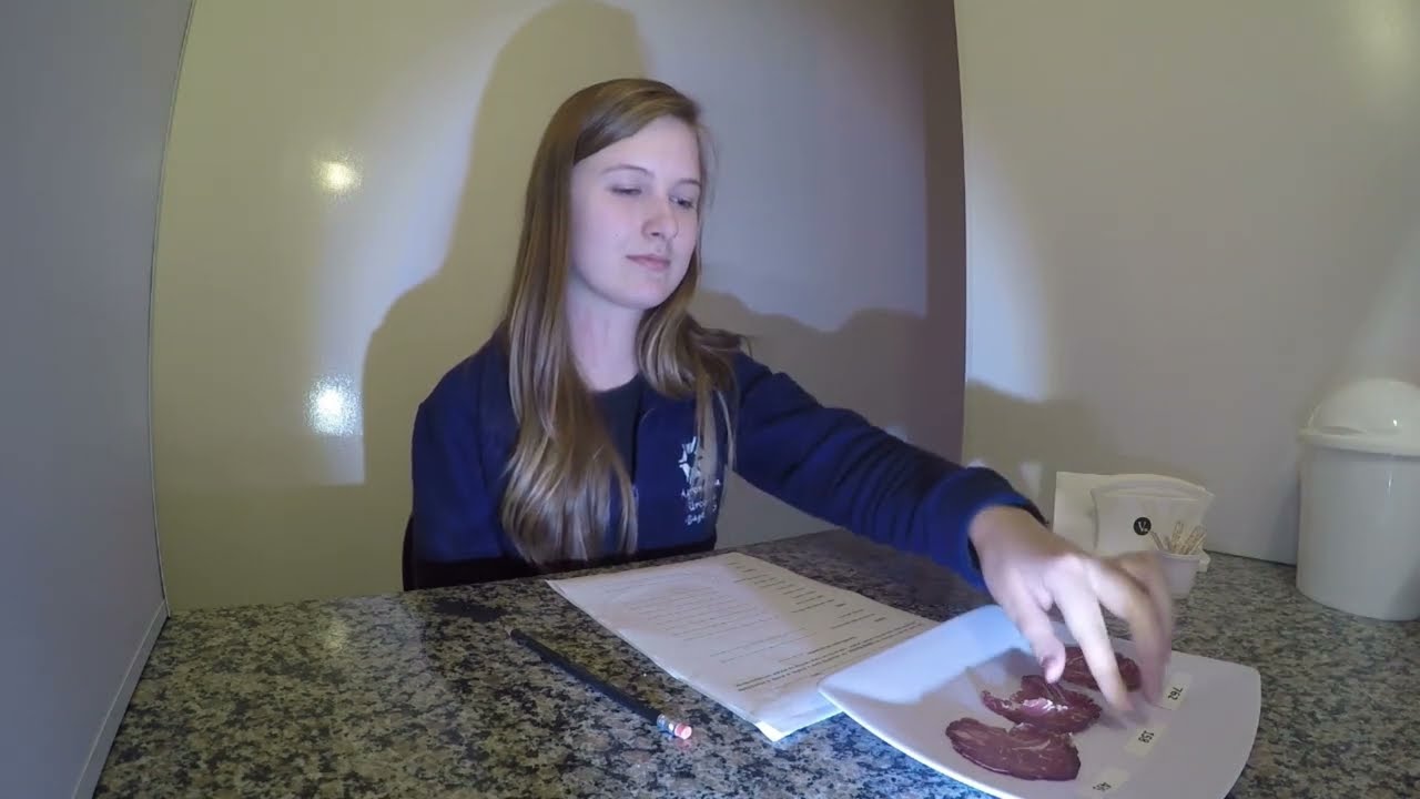 serie carne brasileira beneficios nutricionais da carne ovina