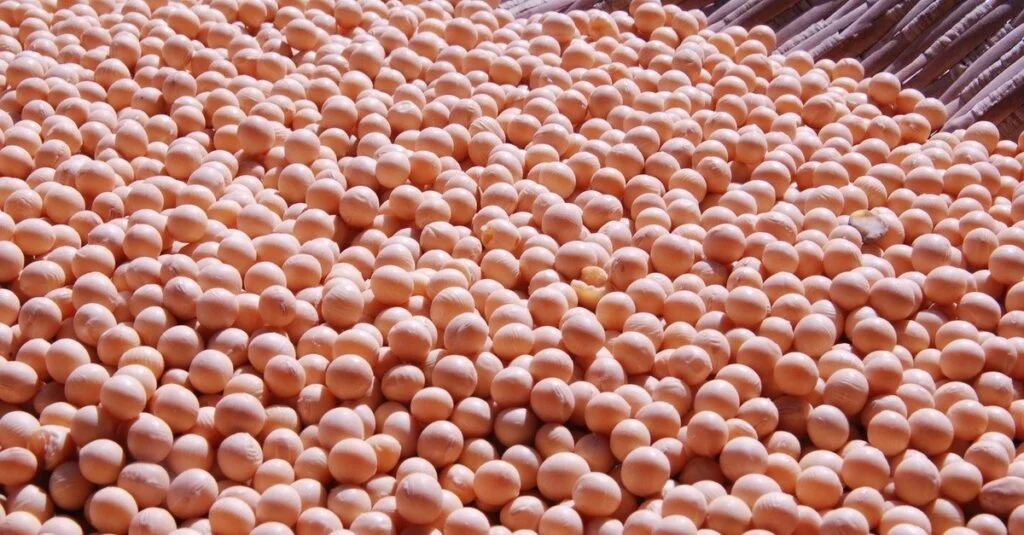 Soja dispara com câmbio valorizado 3 Soja: Preços mantêm alta com valorização do dólar