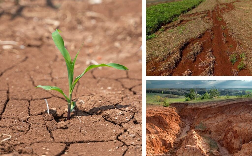 Você está visualizando atualmente O que é degradação do solo? Conheça suas causas e principais estratégias de recuperação