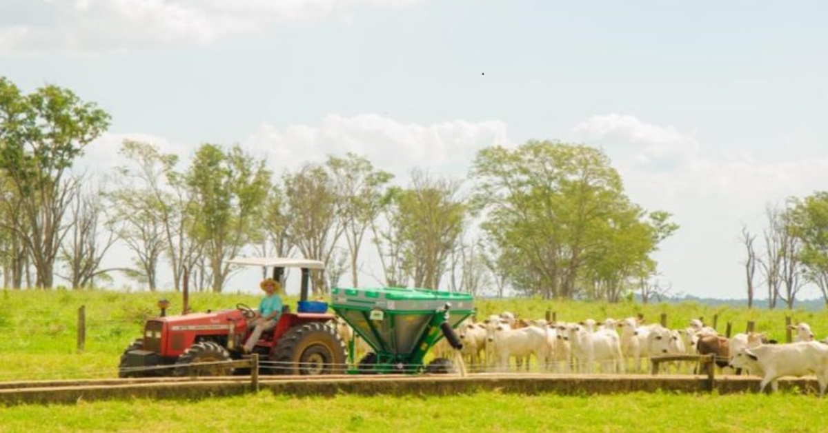 SP libera R$ 600 mi em créditos do ICMS para agronegócio