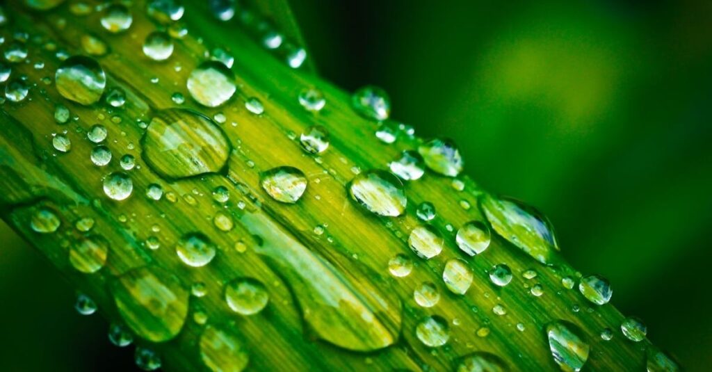 Previsões climáticas indicam tempestades em áreas de pasto. Confira