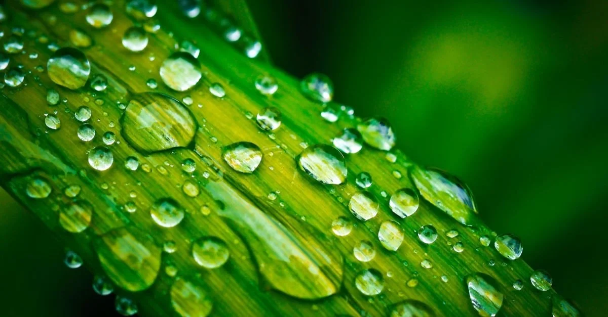 Tempestades ameaçam pastagens. Descubra mais! 13 Previsões climáticas indicam tempestades em áreas de pasto. Confira