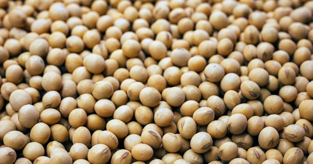 Verifique a Qualidade dos Grãos com Plataforma Exclusiva 3 Plataforma Qualidade Grãos é disponibilizada para verificação da conformidade