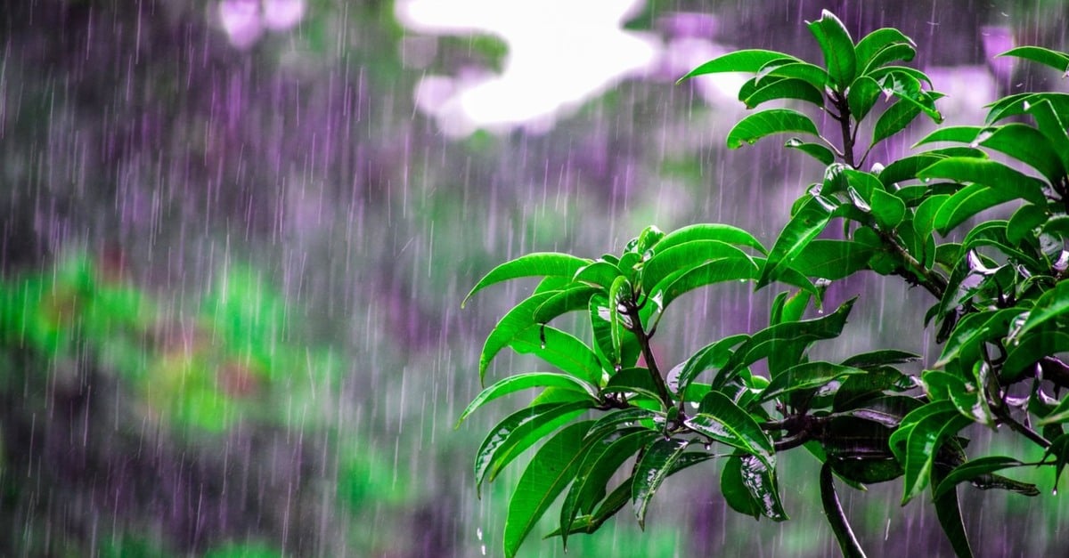 Resiliência: chuvas intensas ainda estão previstas para o RS e Sul do Brasil