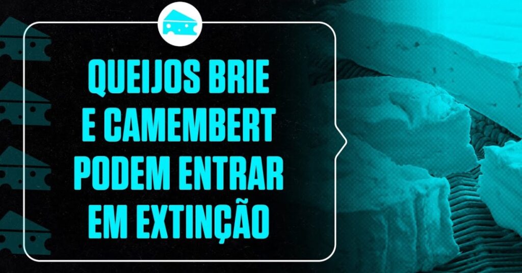 Os queijos brie e camembert podem entrar em extinção (ou quase isso) - Superinteressante