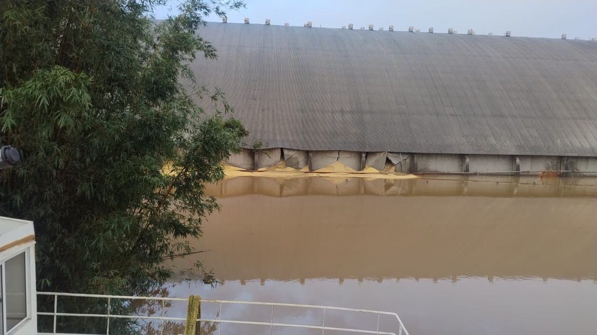 Armazém da Bianchini com 100 mil toneladas de soja se rompe após enchente em Canoas | Negócios