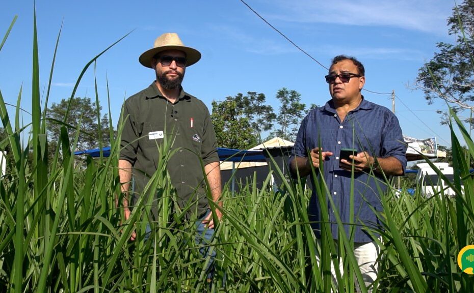 EMATER Apresenta Inovações na Pecuária Leiteira na 11ª Rondônia Rural Show Internacional